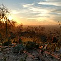 phoenix sunset